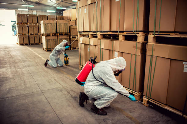 Best Exterminator Services  in Thunder Mountain, NM