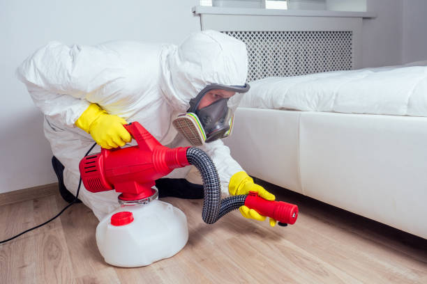 Best Wasp Removal Services  in Thunder Mountain, NM